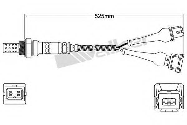 WALKER PRODUCTS 250-24192