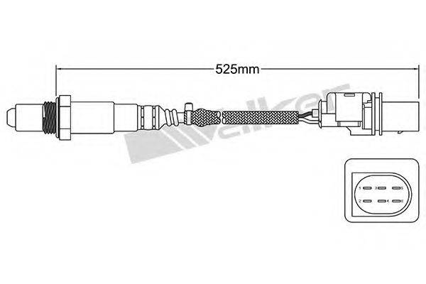 WALKER PRODUCTS 250-25019