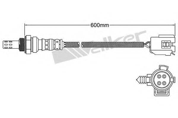 WALKER PRODUCTS 250-24076