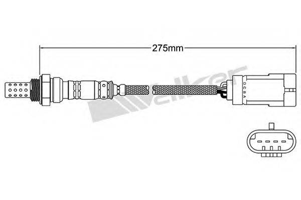 WALKER PRODUCTS 250-24781
