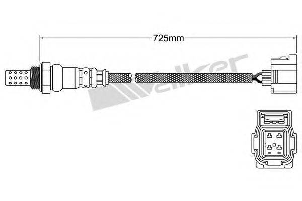 WALKER PRODUCTS 250-24752