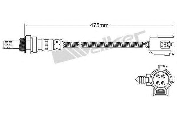 WALKER PRODUCTS 250-24943
