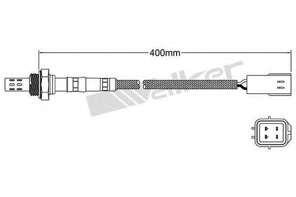WALKER PRODUCTS 250-24341
