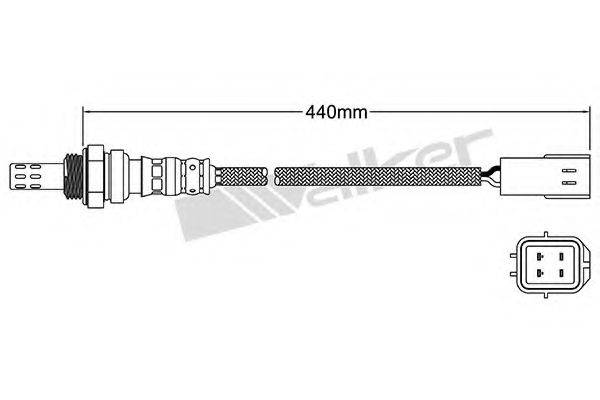 WALKER PRODUCTS 250-24384