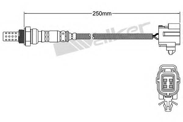 WALKER PRODUCTS 250-24634