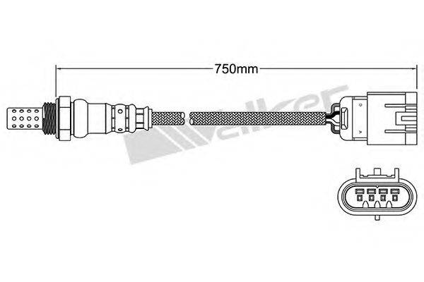 WALKER PRODUCTS 250-24707