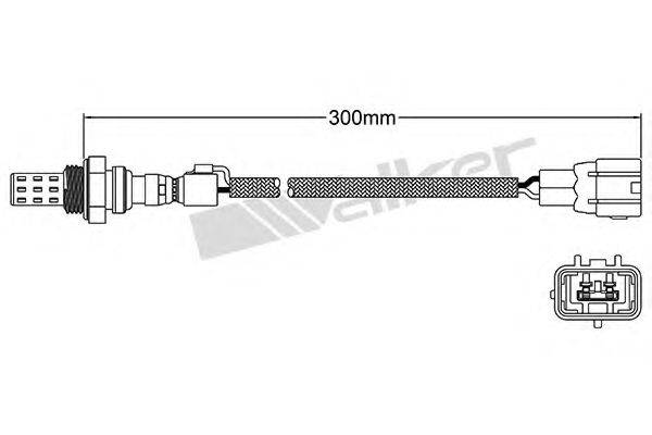 WALKER PRODUCTS 250-22010