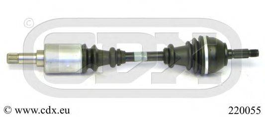 CDX 220055