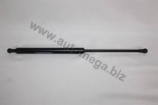 AUTOMEGA 3082705524A5