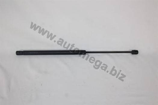 AUTOMEGA 3087310F8