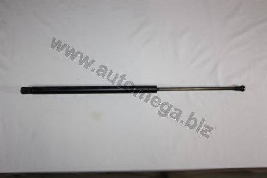 AUTOMEGA 3101320731