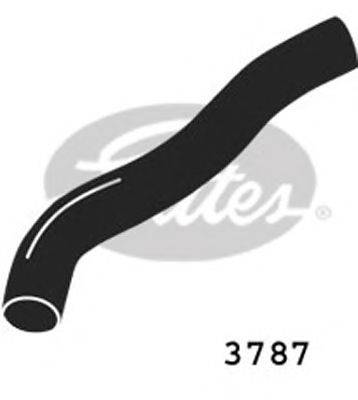 GATES 3787 Шланг радіатора