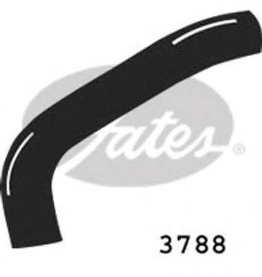 GATES 3788 Шланг радіатора