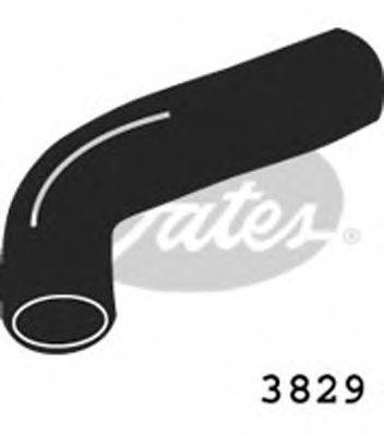 GATES 3829 Шланг радіатора
