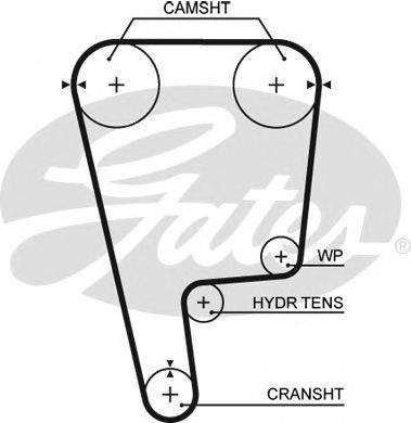 AUTEX 791338 Ремінь ГРМ