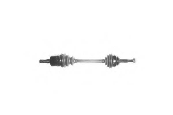 DA SILVA 31219T