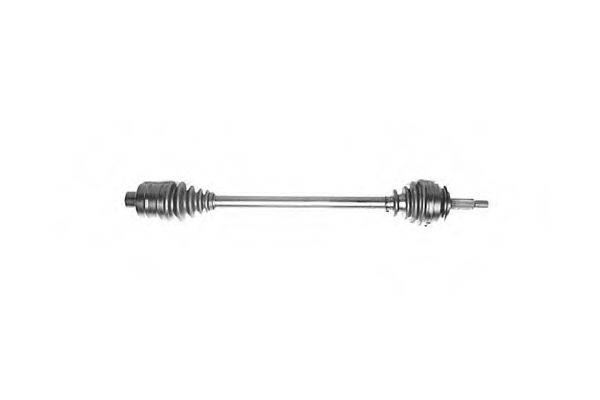 DA SILVA 8183T