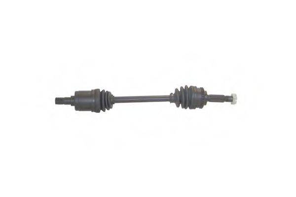 DA SILVA 92037AT