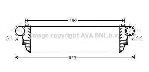PRASCO MS4379