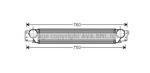 PRASCO OL4442