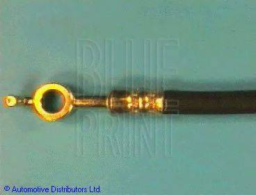 BLUE PRINT ADN15349