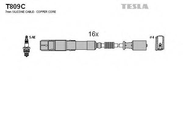 TESLA T809C