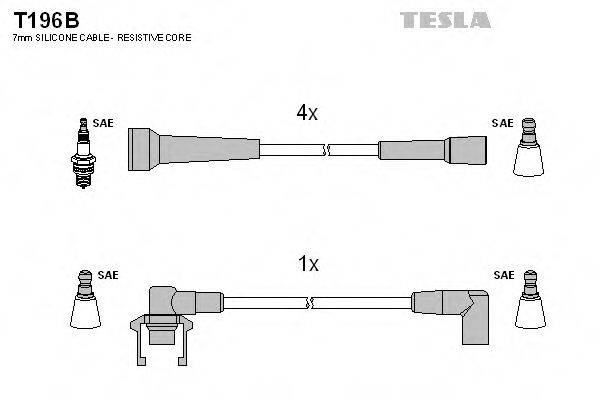 TESLA T196B