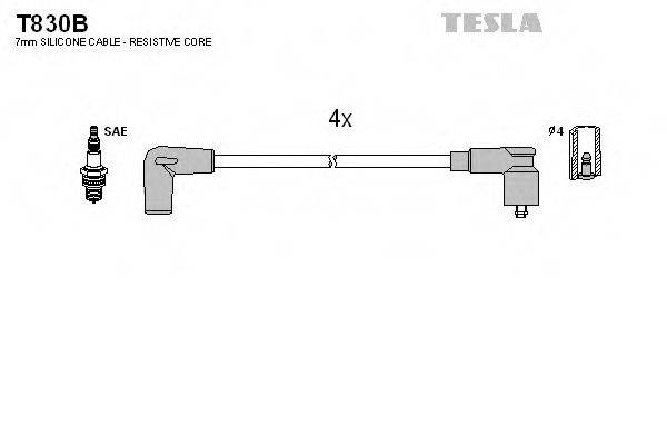 TESLA T830B