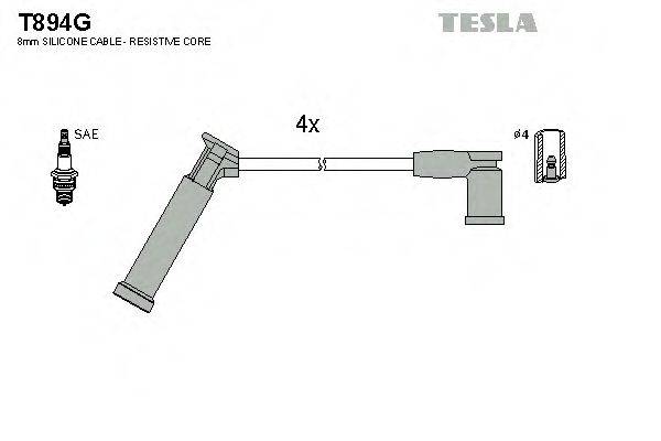 TESLA T894G