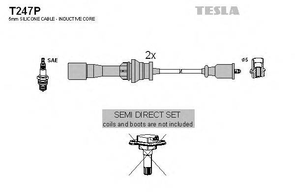TESLA T247P