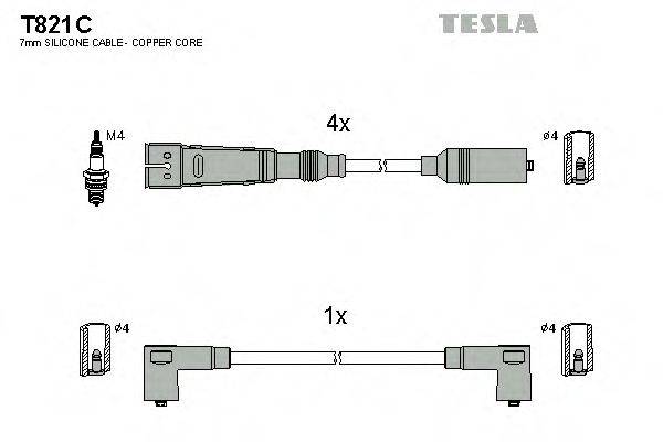 TESLA T821C