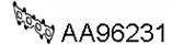 VENEPORTE AA96231