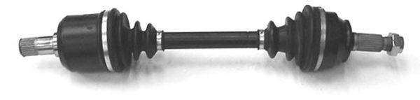 DEPA 3131655