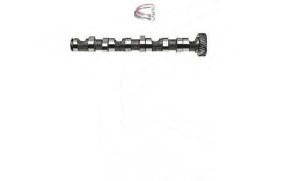 CAMPRO CP10243