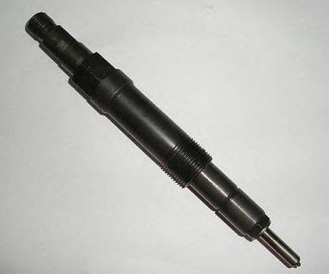 FORD 1127448 Розпилювач