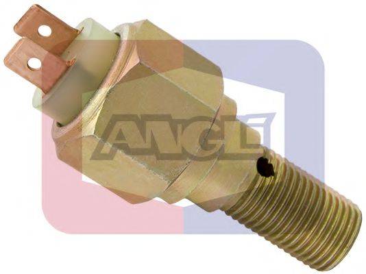 ANGLI 484