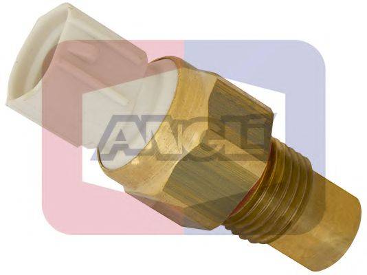 ANGLI 16221