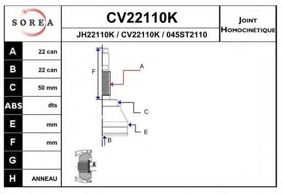 EAI CV22110K
