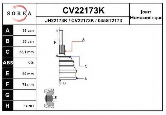 EAI CV22173K