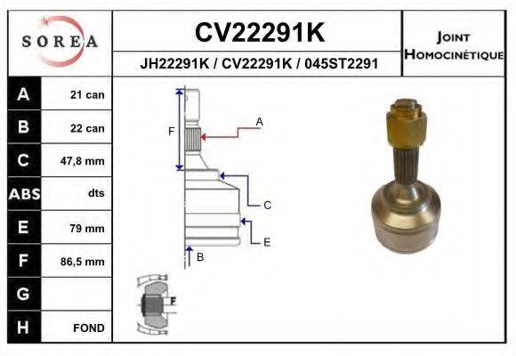 EAI CV22291K