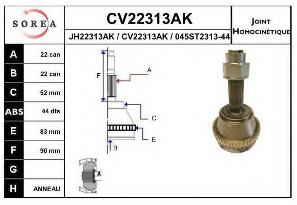 EAI CV22313AK