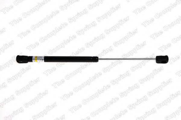 ROC GS1065