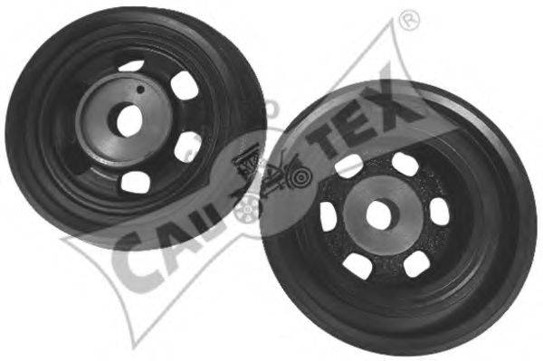 CAUTEX 021325