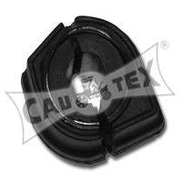 CAUTEX 030899
