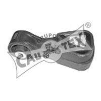 CAUTEX 030306