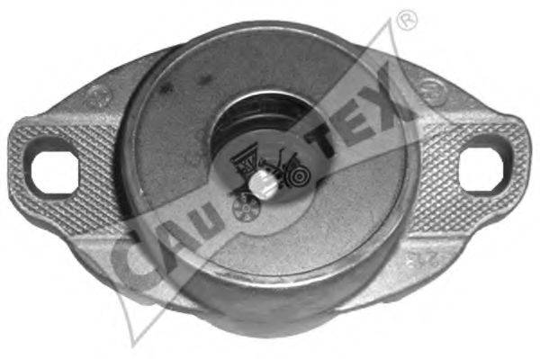 CAUTEX 031484