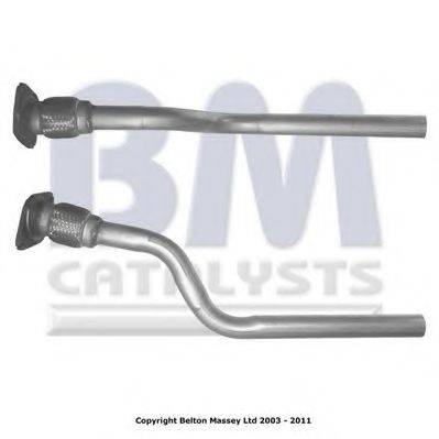 BM CATALYSTS BM50205