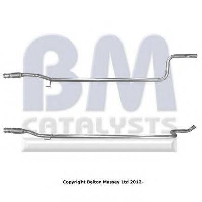 BM CATALYSTS BM50248