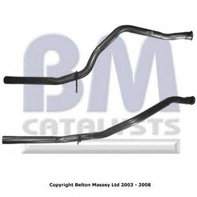 BM CATALYSTS BM50060
