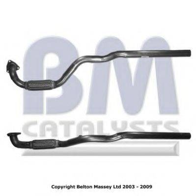 BM CATALYSTS BM50081